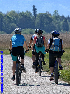 Radfahren Biken Scheidegg
