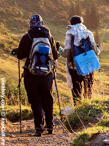 Scheidegger WINTERWANDERN